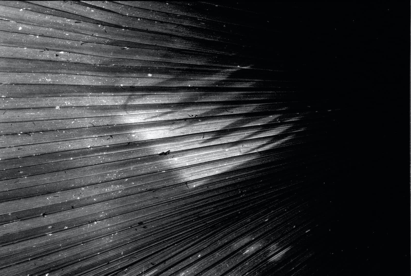 NYC Tip: Sleep No More